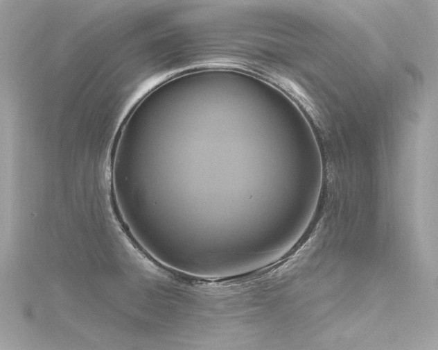 X0000116351428200912011401