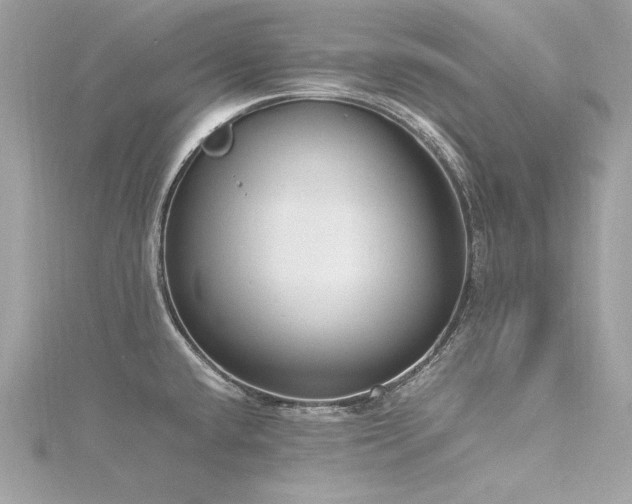 X0000116351432200912011401