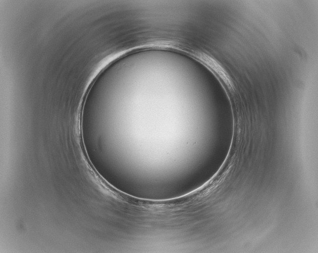 X0000116351436200912011401