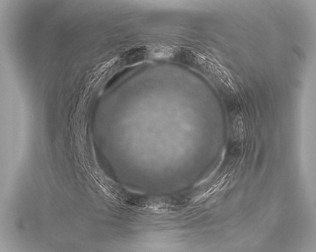 X0000116351441200912011401