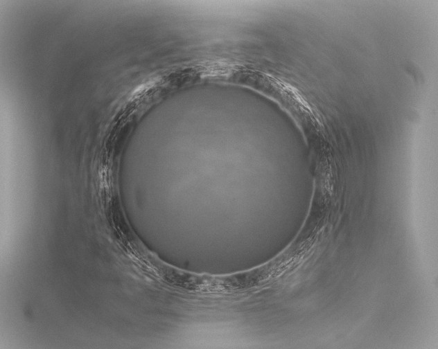 X0000116351445200912011401