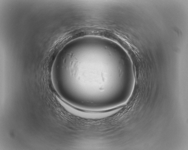 X0000116351447200912011401