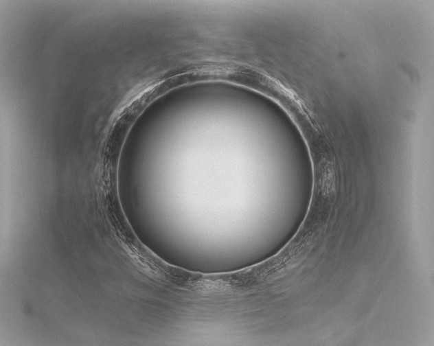 X0000116351448200912011400