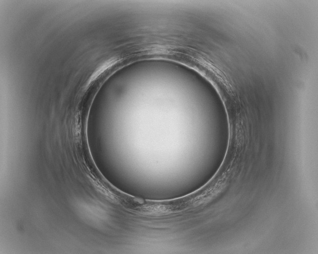 X0000116351450200912011400