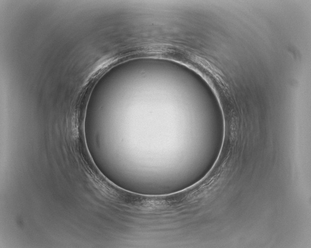 X0000116351451200912011400