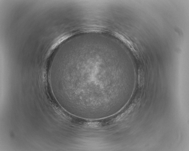 X0000116351453200912011400