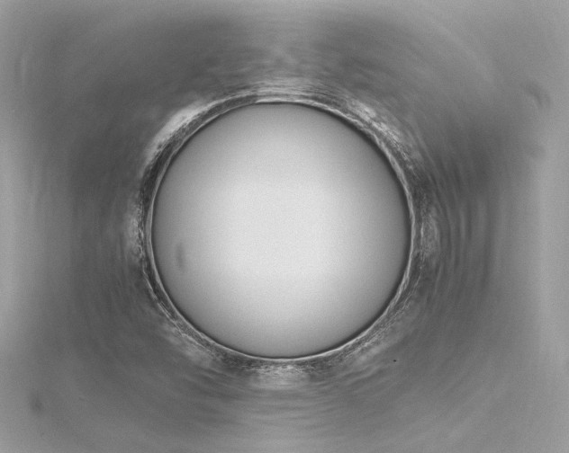 X0000116351454200912011400