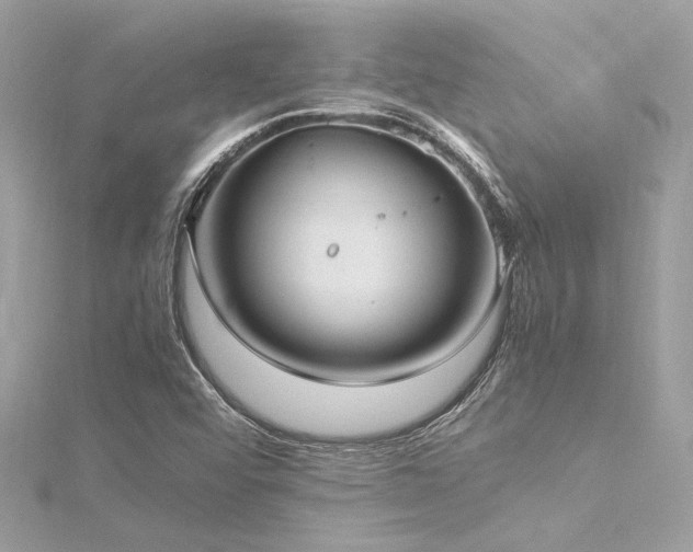 X0000116351456200912011400