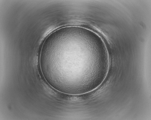 X0000116351459200912011400