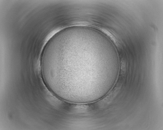 X0000116351466200912011400