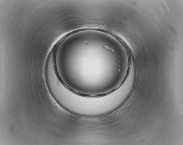 X0000116351468200912011400