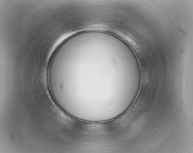 X0000116351470200912011400