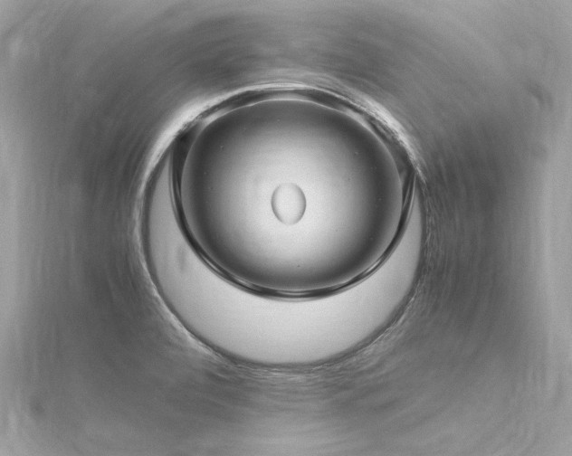 X0000116351472200912011400