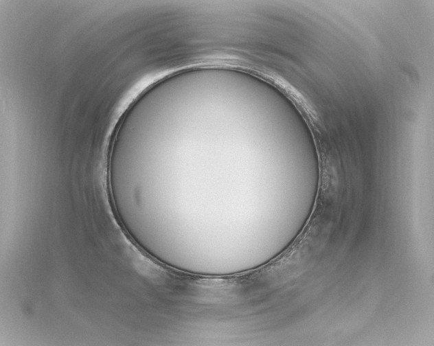 X0000116351478200912011400