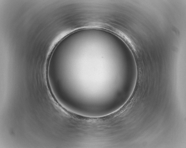 X0000116351480200912011400
