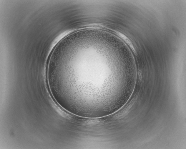 X0000116351482200912011400