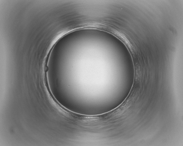 X0000116351483200912011400