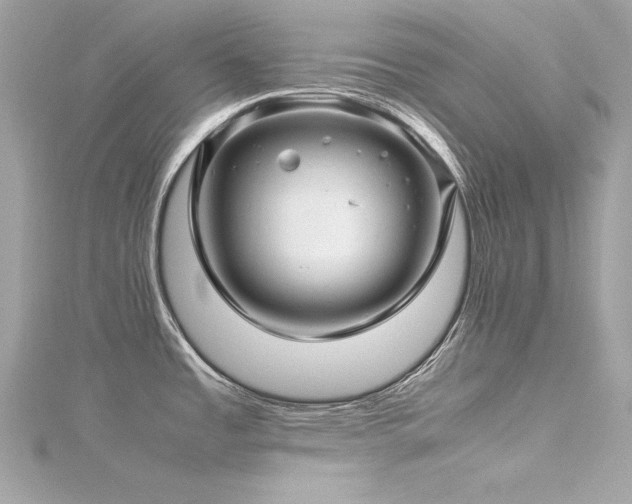 X0000116351485200912011400