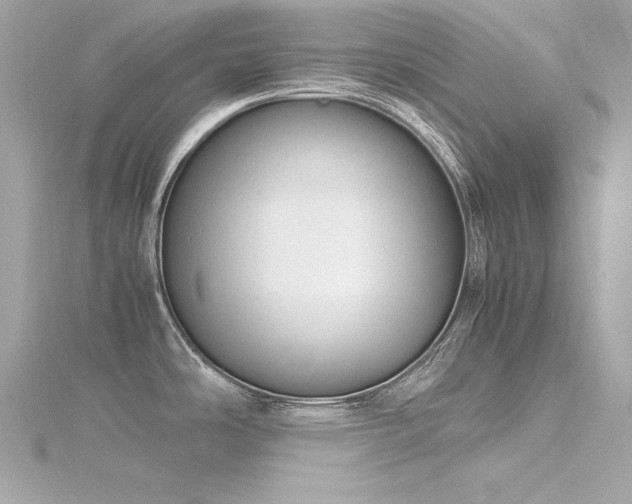 X0000116351486200912011400