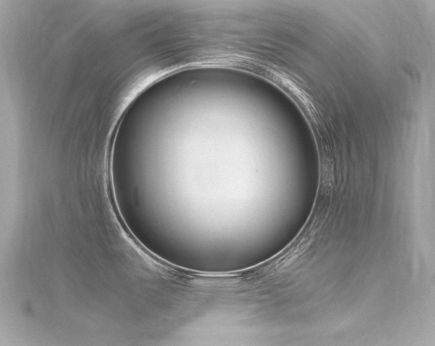 X0000116351487200912011400