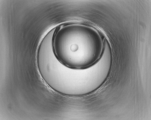 X0000116351488200912011400