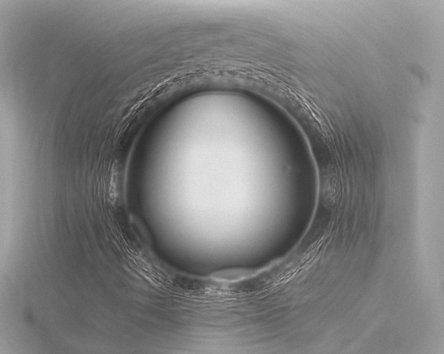 X0000116351490200912011359
