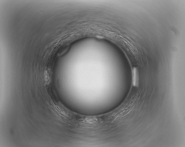 X0000116351491200912011359