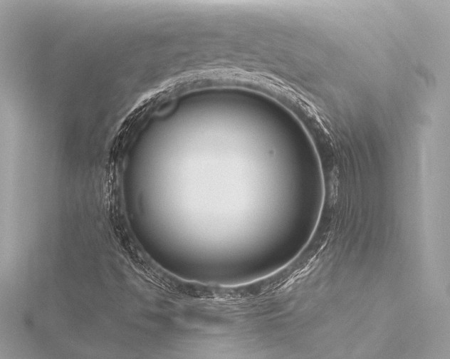X0000116351494200912011359