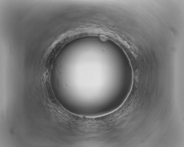 X0000116351495200912011359