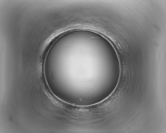 X0000116351503200912011359