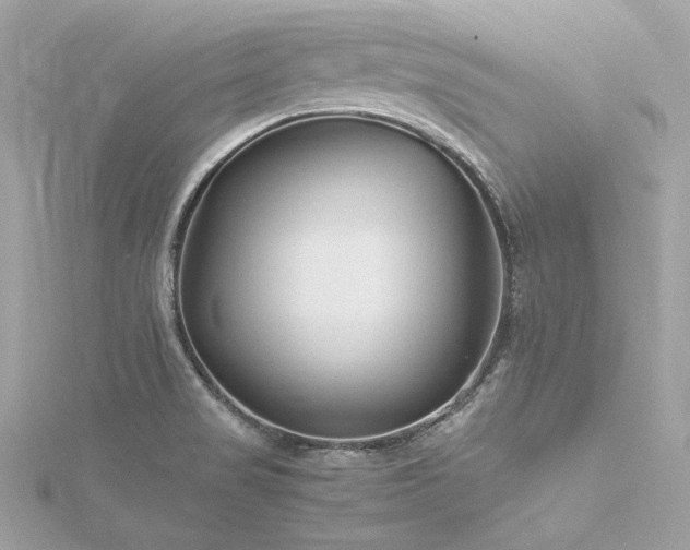 X0000116351517200912011400