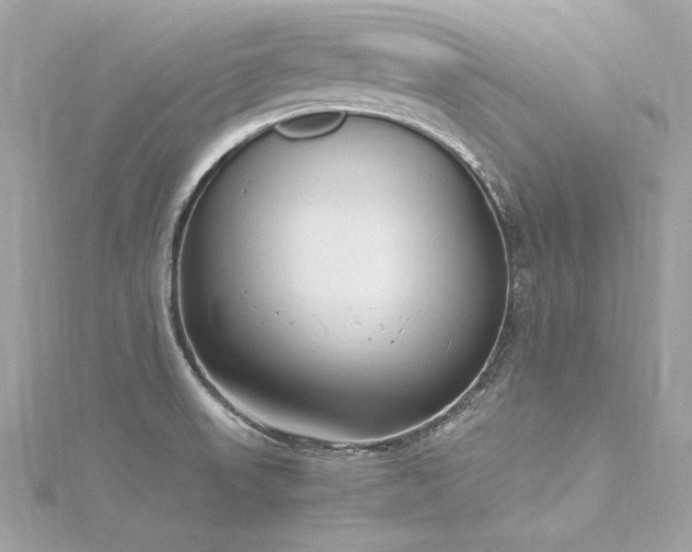 X0000116351523200912011400