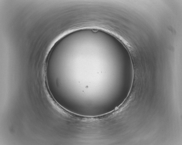X0000116351526200912011400