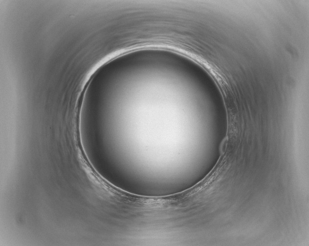 X0000116351534200912011400