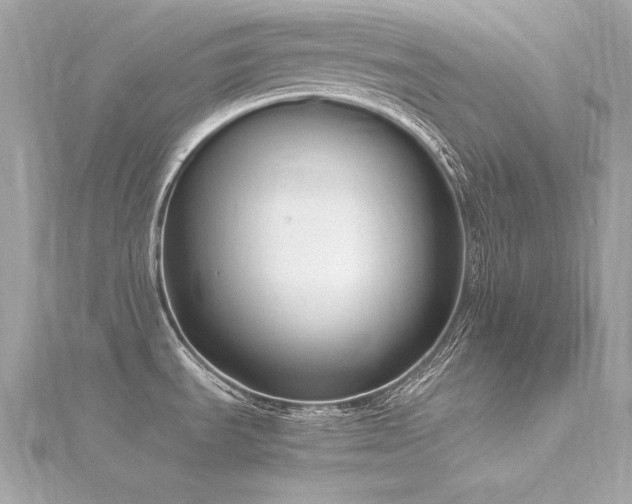 X0000116351535200912011400