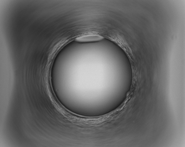 X0000116350001200912091139