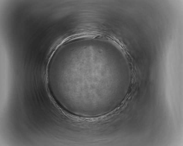 X0000116350002200912091139