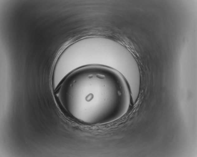 X0000116350003200912091139