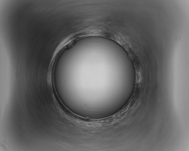 X0000116350004200912091139