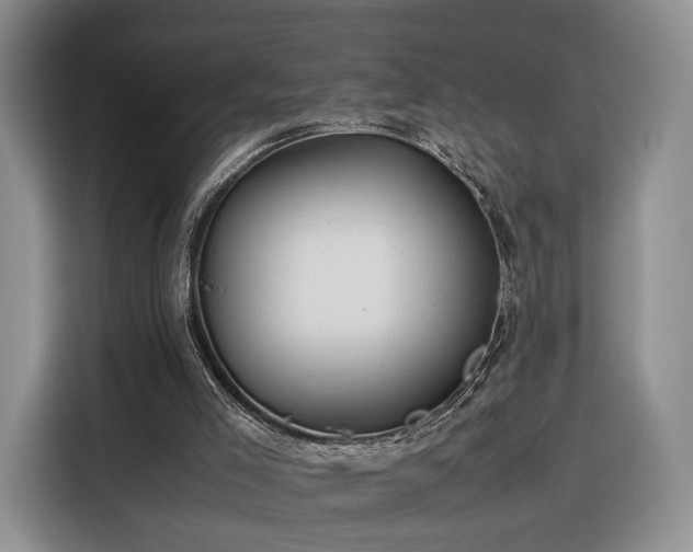 X0000116350005200912091139