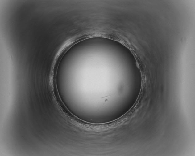 X0000116350006200912091139