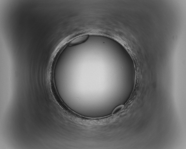 X0000116350007200912091139