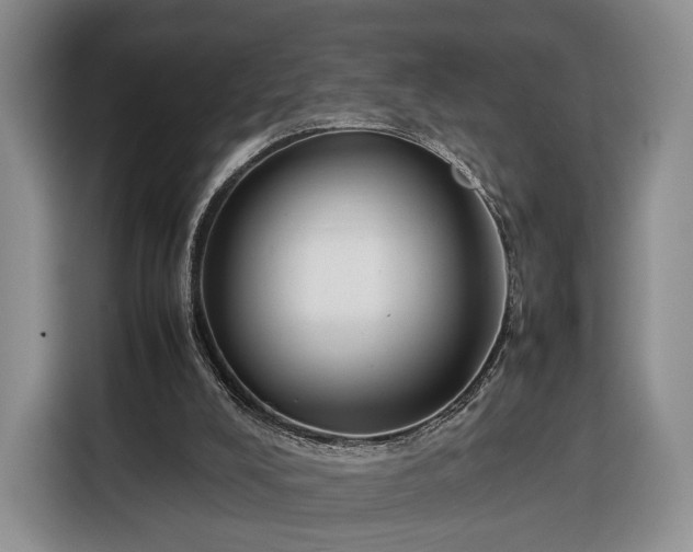 X0000116350008200912091139