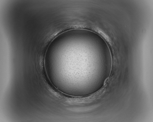 X0000116350009200912091139