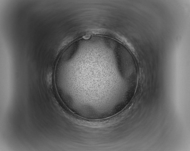 X0000116350010200912091139