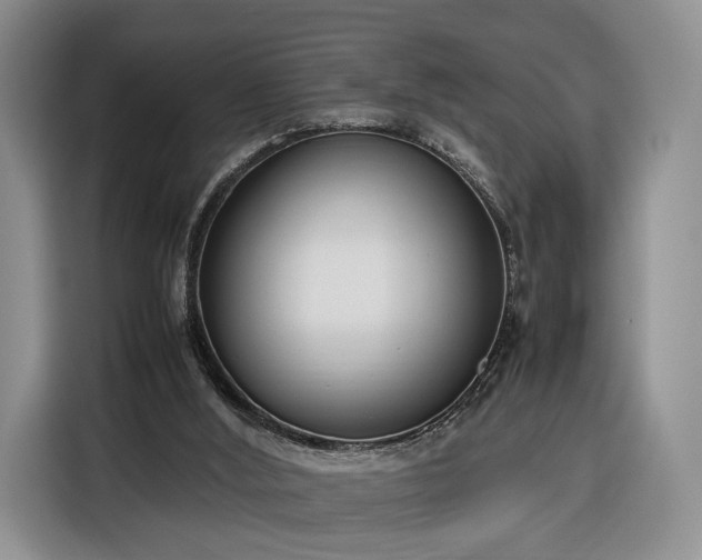 X0000116350012200912091139