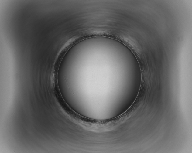 X0000116350016200912091139