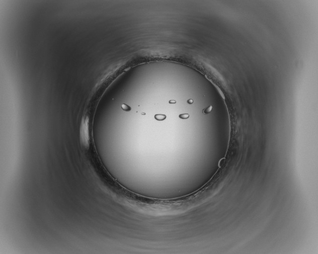 X0000116350020200912091139