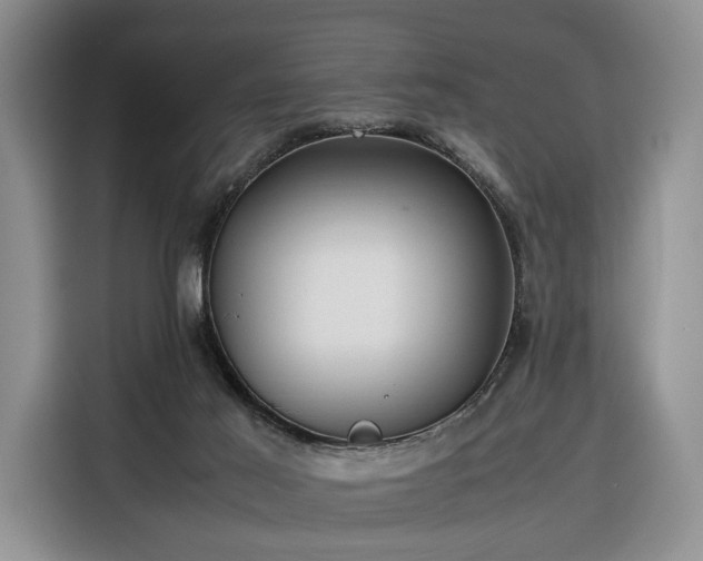 X0000116350021200912091139