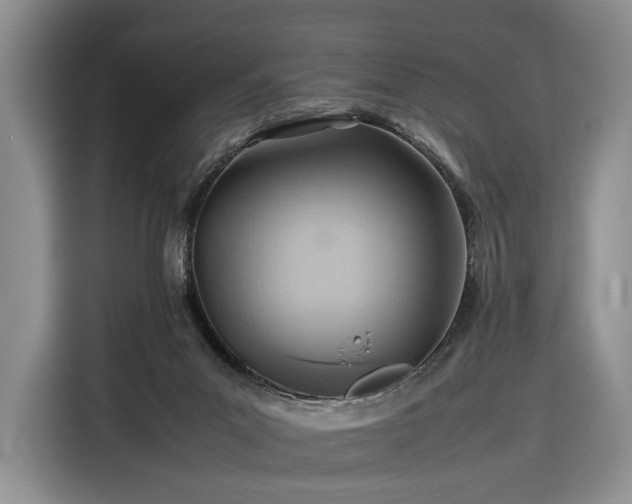 X0000116350023200912091139